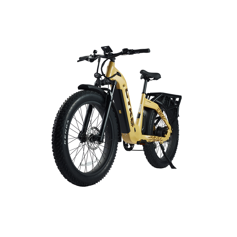 CYKE Lynx Step-Through eBike
