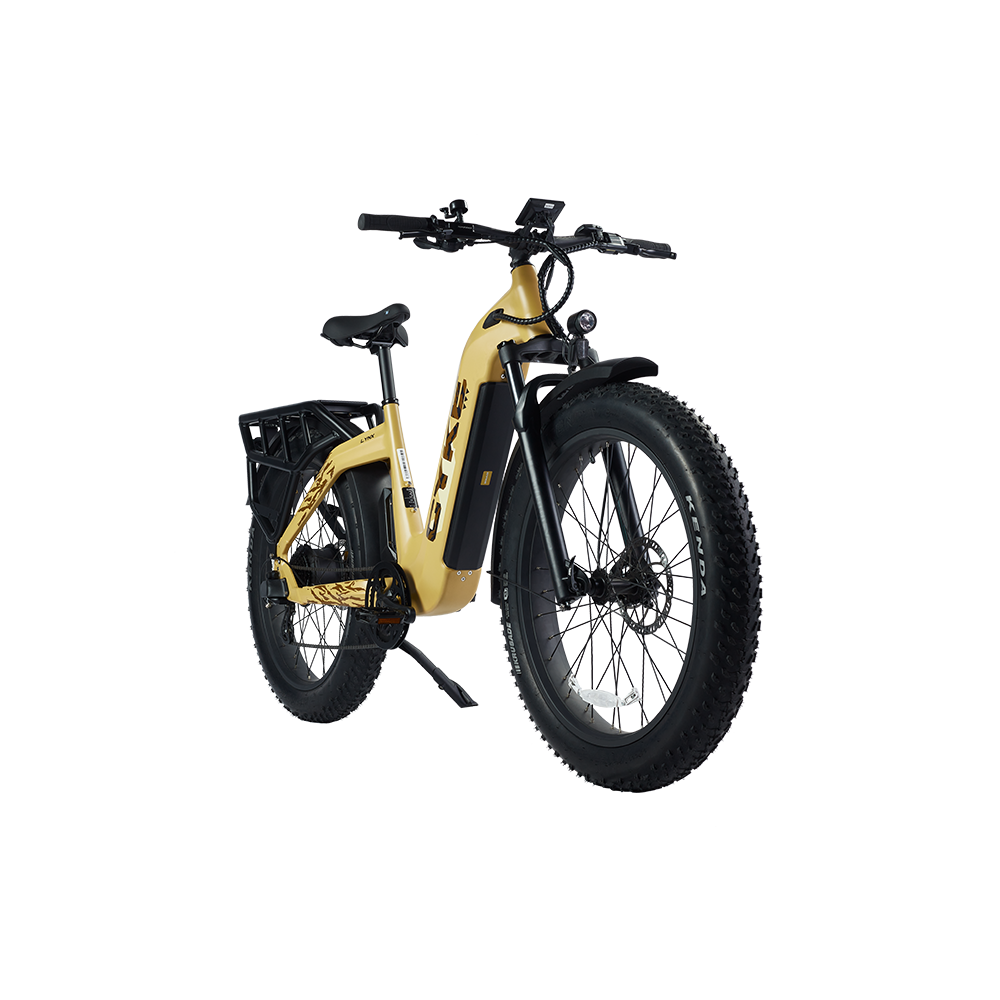 CYKE Lynx Step-Through eBike