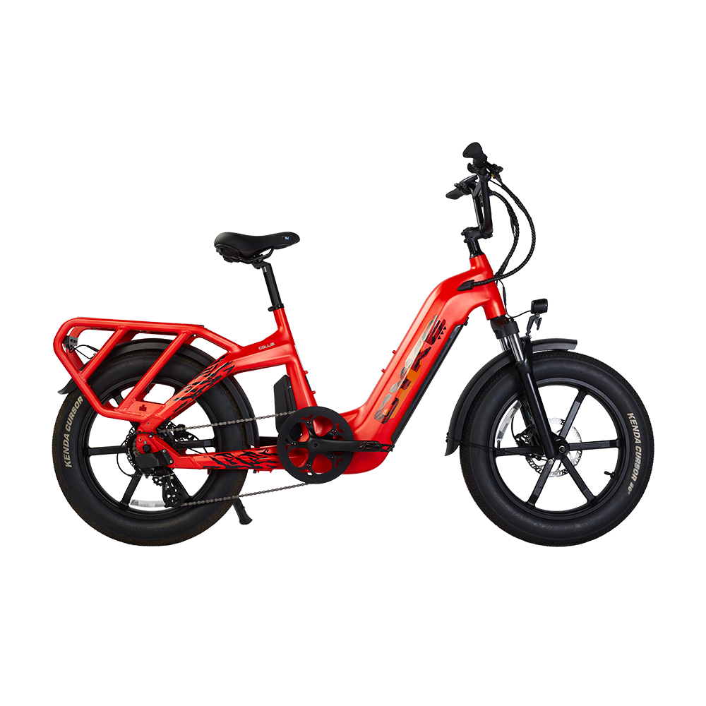 Collie Cargo eBike