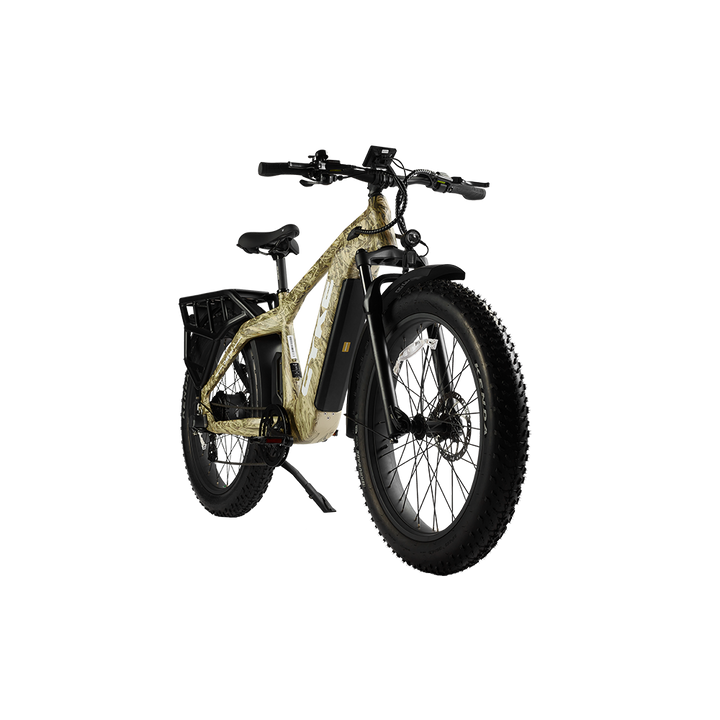 Cheetah Hunting Ebike