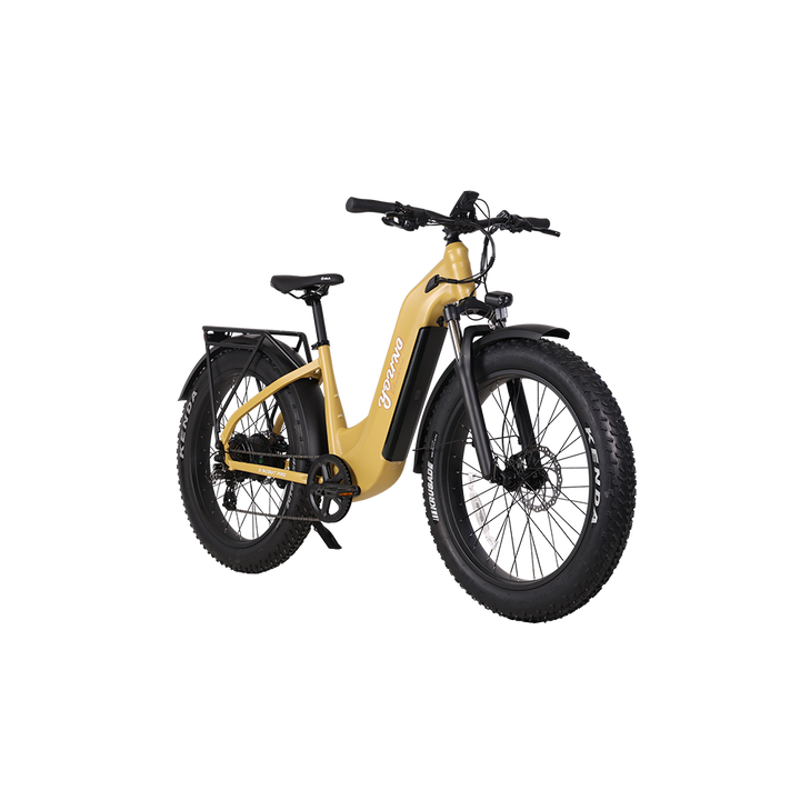 E-Scout Pro Step-Through Commuter eBike