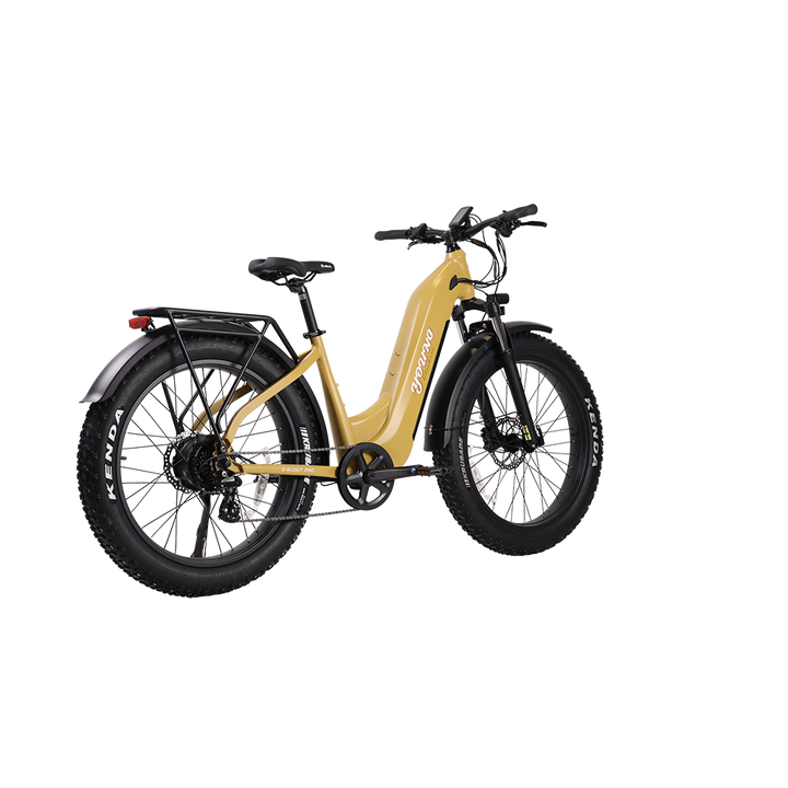 E-Scout Pro Step-Through Commuter eBike