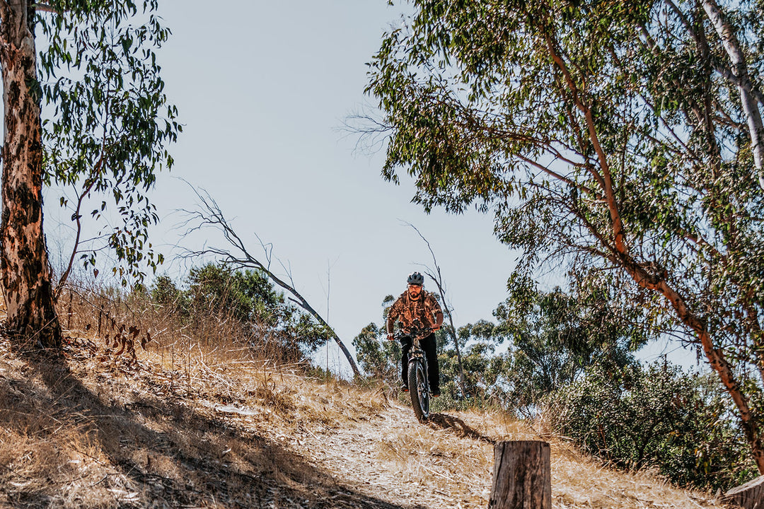 Cheetah Hunting Ebike