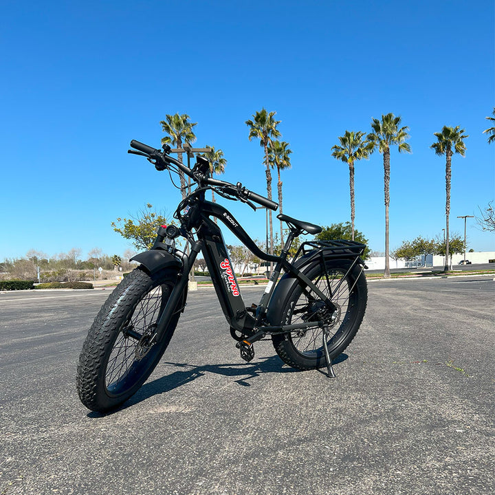 Pre-Owned E-Scout Ebike | Grade B